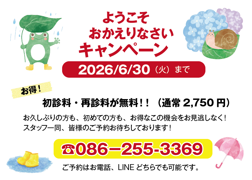 2026年6月キャンペーン